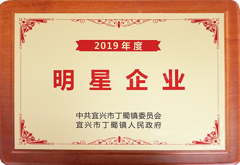 2019年度明星企业